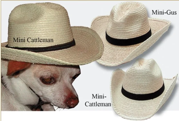 Lightweight felt cowboy hats for women with wide brims for stylish sun coverage -Sunbody Genuine Palm Mini Gus or Cattleman Hat